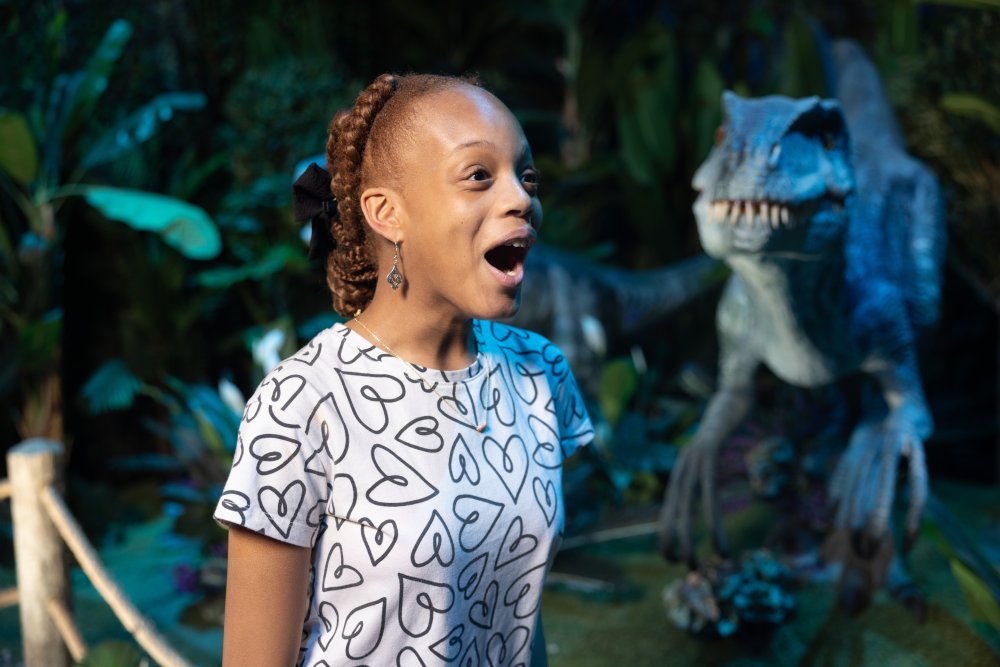 Photo of a young girl looking at dinosaurs in amazement