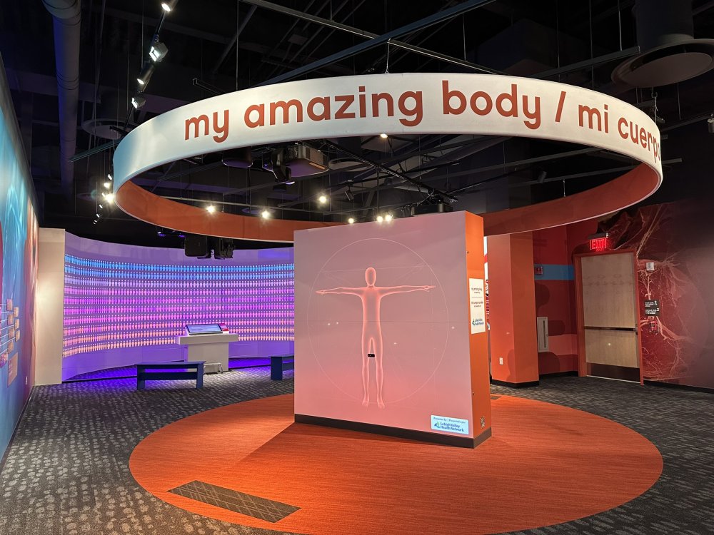 Photo showing an interactive Vitruvian Hub and the Public Health Simulator