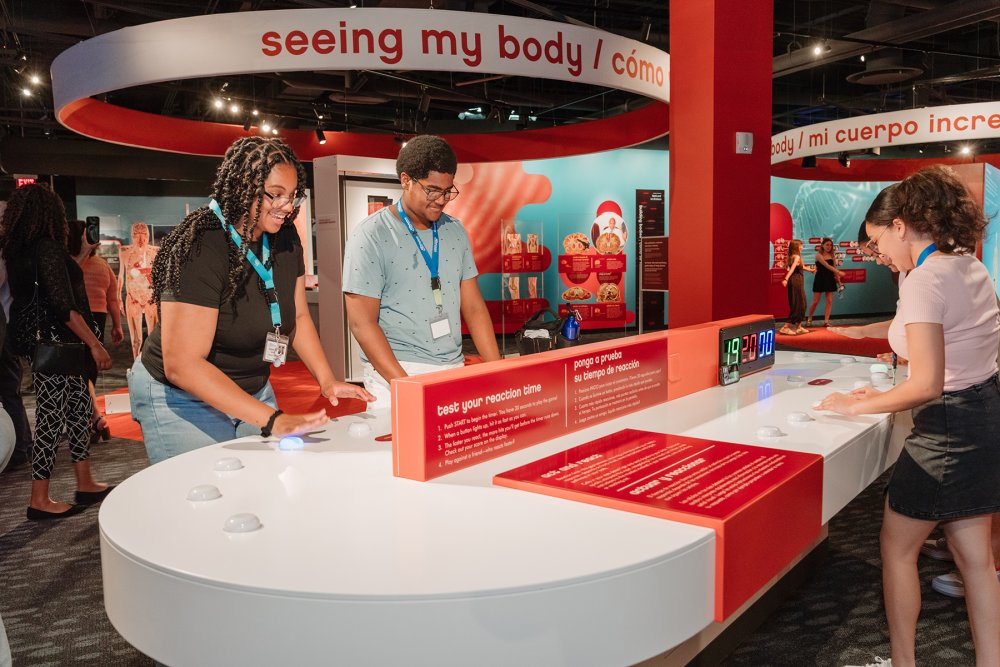 Guests enjoying an exhibit in the Lehigh Valley Health Network My Body exhibit gallery